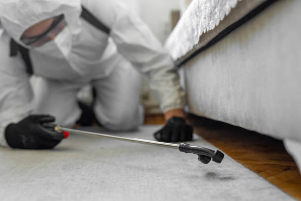 Professional Bed Bug Control technician working in King, WI