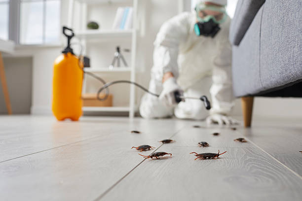 Trusted Cockroach Control service in King, WI - Nex Pest Control