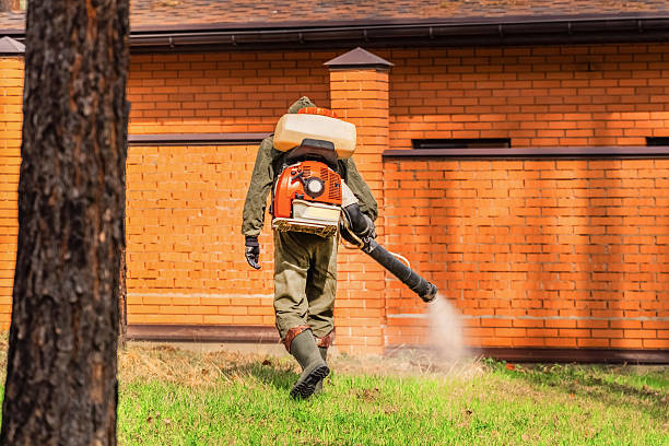 Trusted Bed Bug Control service in King, WI - Nex Pest Control